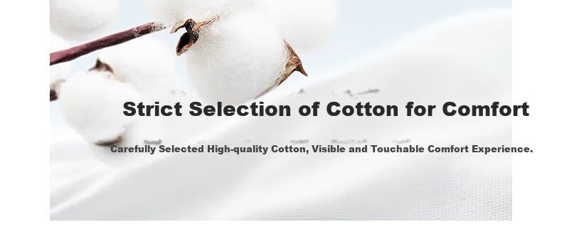 G2000 [With Free Bow] Women's Skin-Friendly Cotton Long Sleeve Shirt for Spring And Summer, Ice Blue, Size 38 5