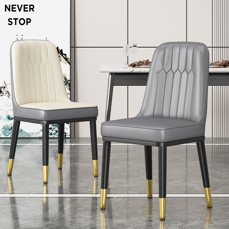 Chibilun Dining Chair Home Small Apartment Living Room Dining Table Chair Light Luxury Cafe Hotel Meeting Chair Leisure Backrest Stool