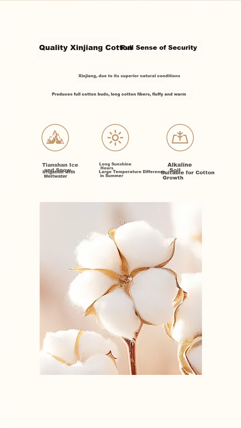 LUOLAI Home Textiles, 100% Xinjiang Cotton Quilt, Pure Cotton Warm Thick Winter Comforter, Weighing Approximately 5.2 Ji 3