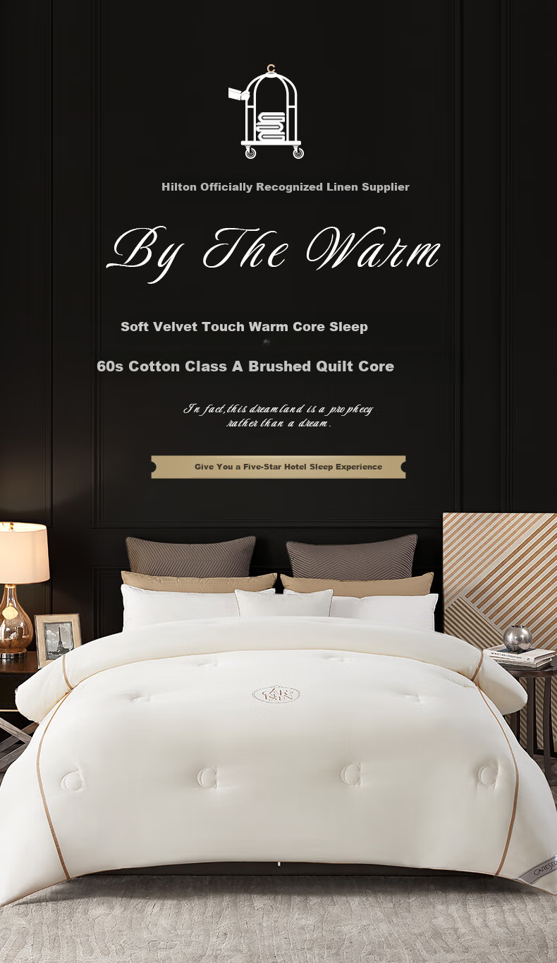 Canasin A-Class Brushed Comforter, All-Season Duvet, 60-Count Pure Cotton, Spring And Autumn Fiber Filling, 5.6 Lbs, 220*240cm [Champagne] 1
