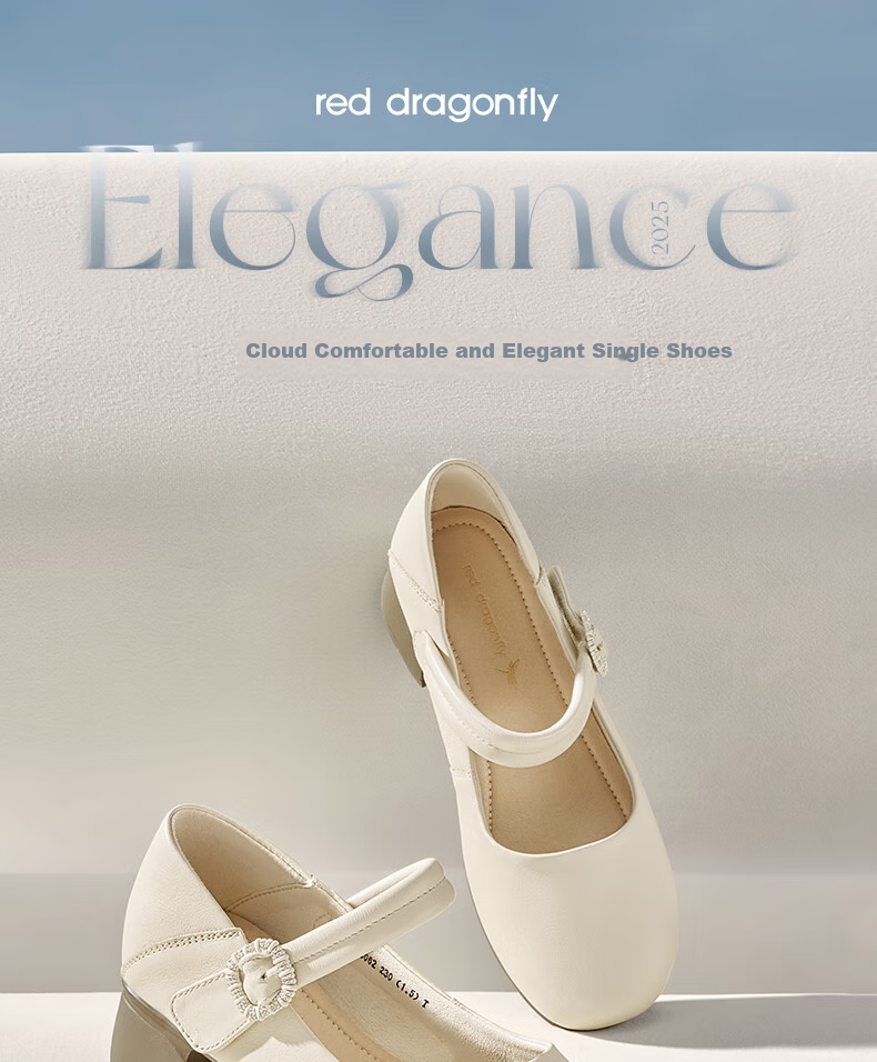 RED DRAGONFLY Shallow Women's Flats, Spring Women's Shoes, Mary Jane Thick Heel Comfortable Women's Shoes WJB15806 Beige 40 1