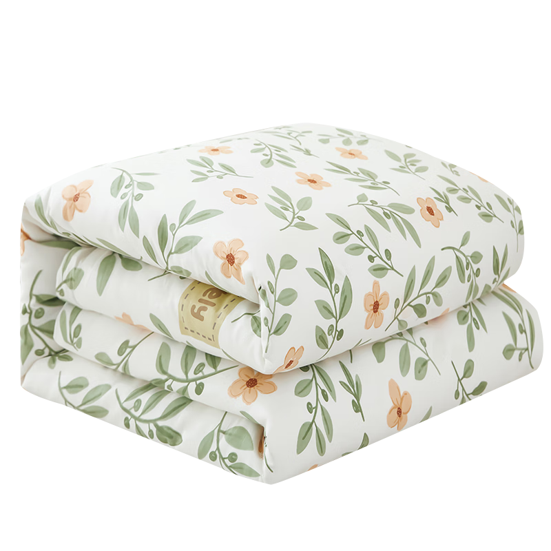 Yunjin Cotton Quilt with Duvet Cover, All-Cotton Xinjiang Cotton Comforter for Single Person, Autumn And Winter Bedding, 6 Jin (3 Kg), 150x200cm, Lime Mint Patter
