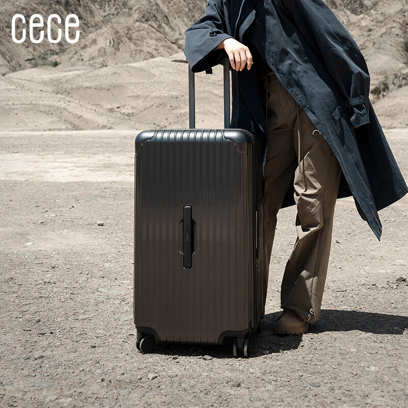 Чемодан Cece Large Capacity, женский дорожный, с кодовым замком, цвет "Gunmetal Gray", 26 дюймов