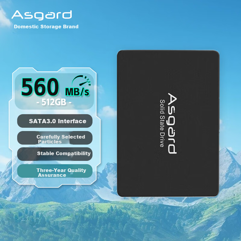 Asgard 512GB SSD Solid State Drive SATA3.0 Interface AS Series Compatible with Black Myth: Wukong