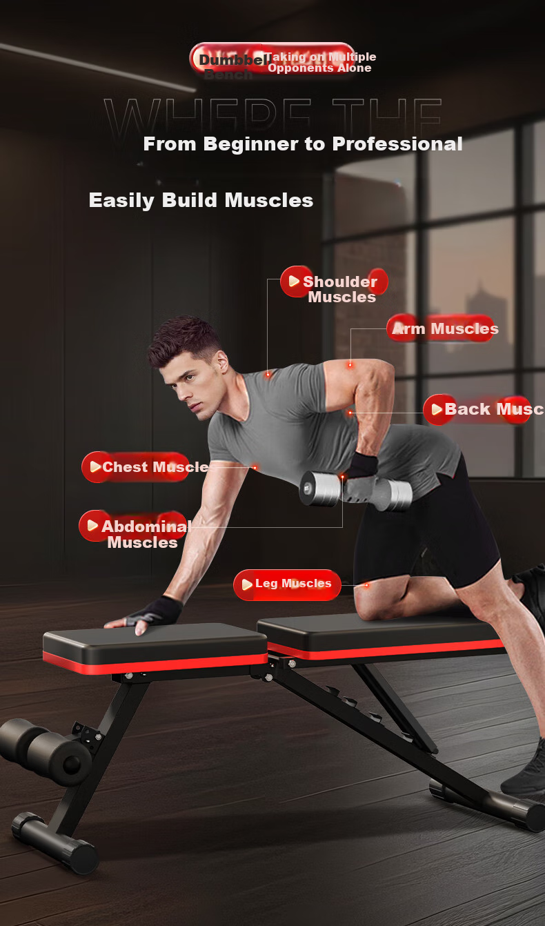 XTEP Dumbbell Bench, Bench Press Chair for Men, Sit-Up Assist Frame, Fully Foldable, Home Fitness Training, Multifunctional Equipment for Abdominal Muscles 2