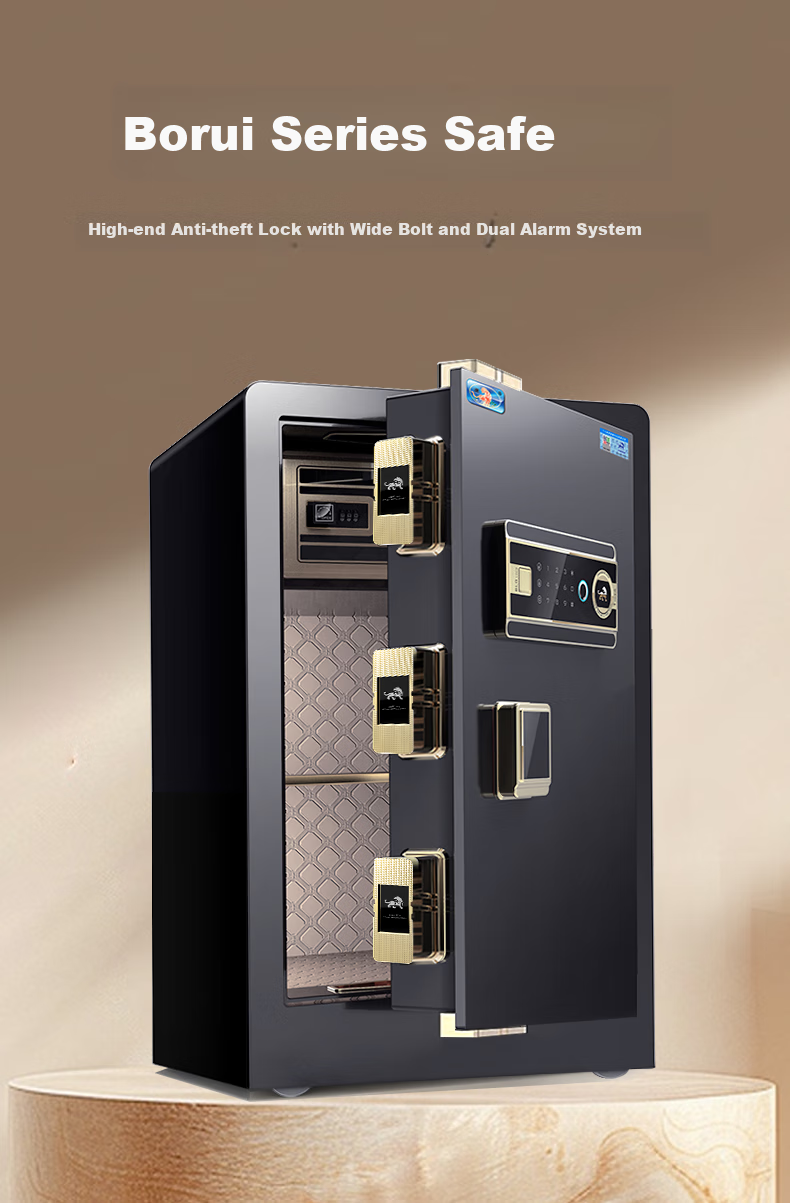 Hupai Home Safe, Small Fingerprint Password Office Financial Security Box, All-Steel Anti-Theft Wall-Mountable Confidential Storage Cabinet, Borui Series, 60cm, Piano Black 2