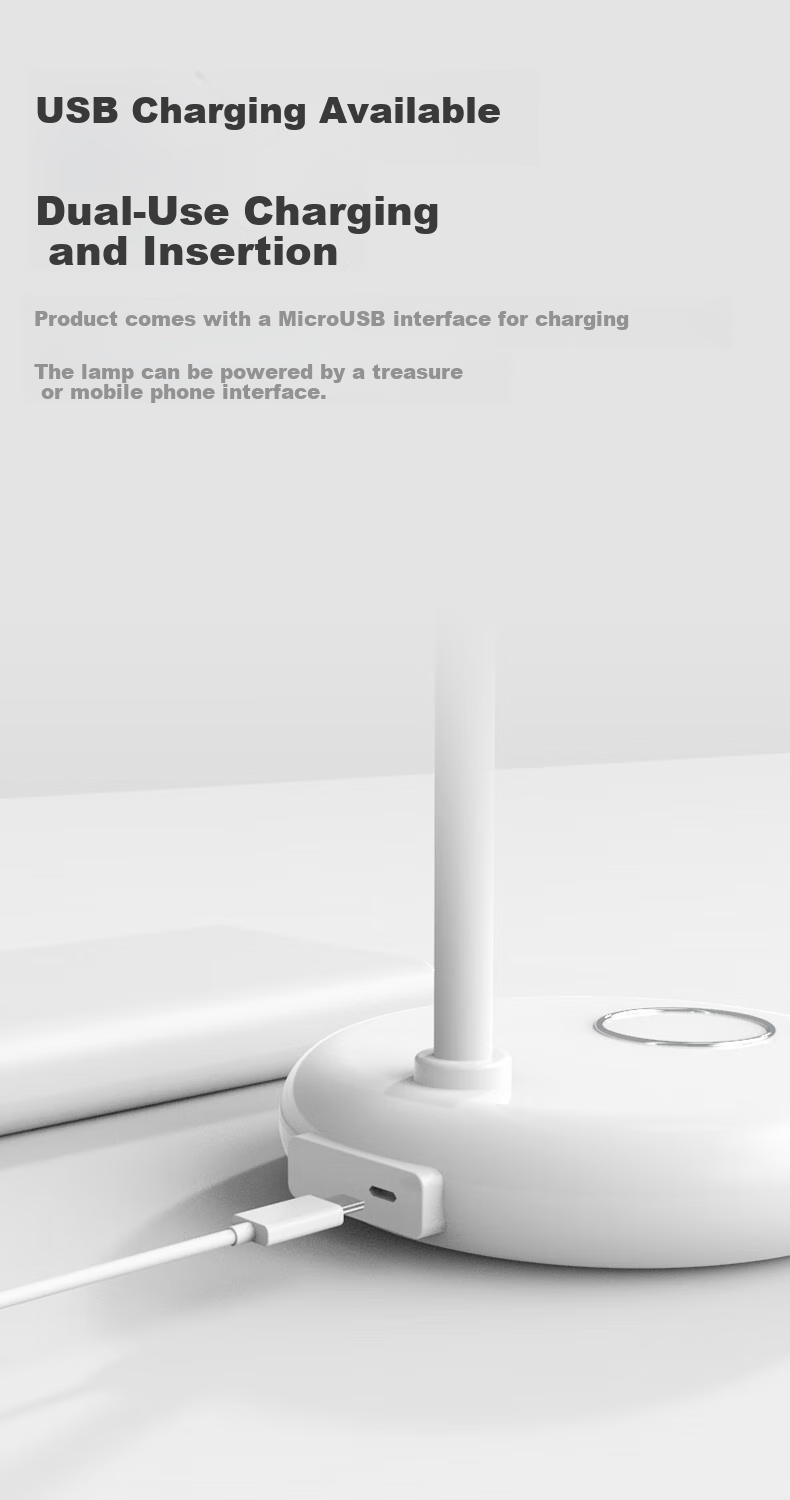 Haoshili USB Rechargeable Small Desk Lamp for Children, College Students, Dormitory, Bedroom, Office, Work, Study, Reading LED Desk Lamp 2
