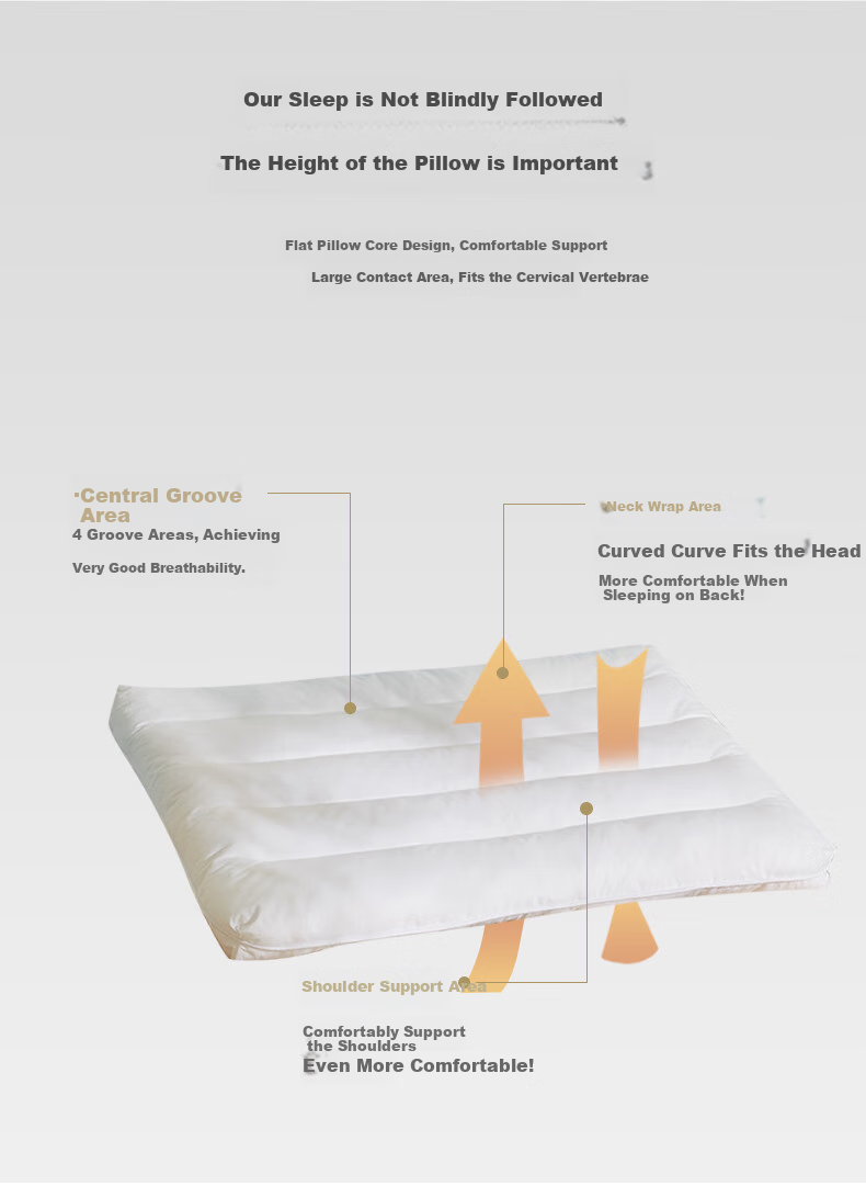 BEYOND Home Textile Pillow Core, Washable All-Cotton Embroidered Soft Pillow Core, Low Pillow Stand Tall Style, Single Pack, Lianyi 48*74cm 5