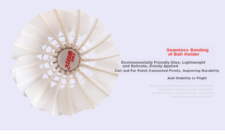 DHS Badminton Shuttlecocks, Beginner Practice Training, Affordable 6-Pack Per Tube 8