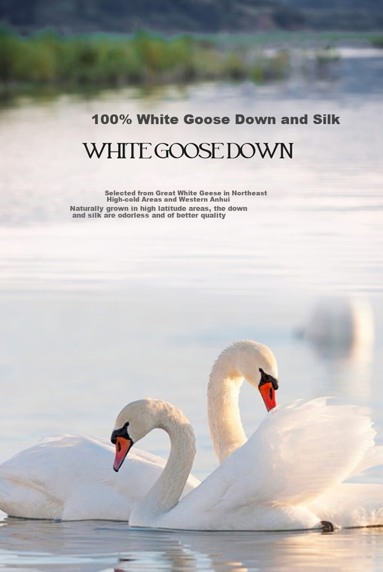 Wuyinliangpin 100% White Goose Down Comforter, Feather And down Duvet Winter Quilt Approximately 8 Jin [Filling 2800g] 200*230cm White 5