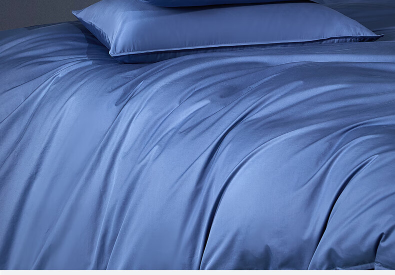 Mercury Home Textile Duvet Cover 80s Xinjiang Long-Staple Cotton Baby Grade A High-Density Mite-Resistant 100% Pure Cotton Quilt Protector 220x240cm 14