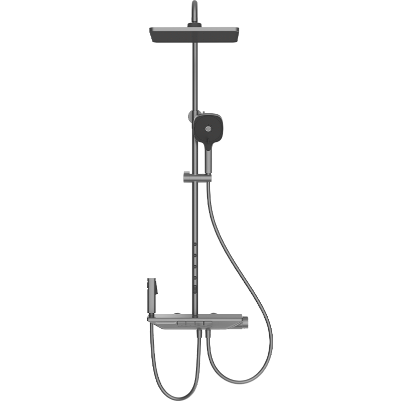 HEGII Shower Head D40 Back-Spray Version, Piano Key Waist And Back Massage Descaling Shower Head Full Set DMF956B-335