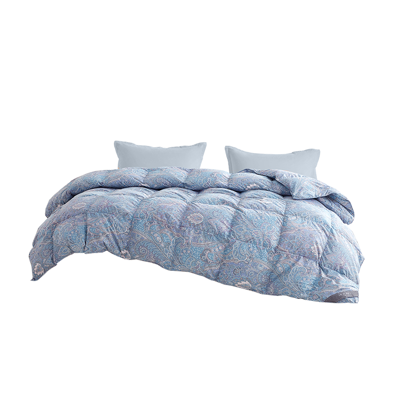 BEYOND Home Textile down Comforter, Antibacterial Washable 95% White Goose Down Duvet, All-Season Comforter with 600g Filling, 220*240cm