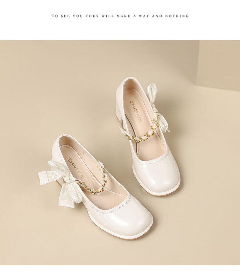 ZHR Mary Jane Shoes for Women, Elegant Shallow Mouth Chunky High Heel Pumps, Graceful Square Toe Women's Shoes BL170 Beige 38 7