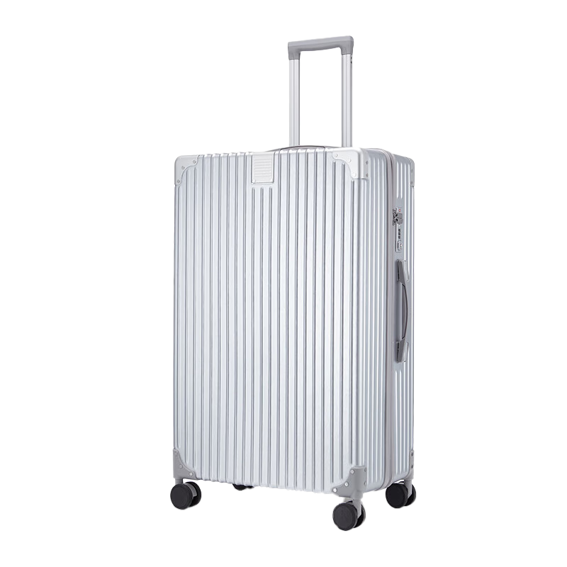 ELLE French Brand Luggage, Stylish Silver 22-Inch Suitcase with TSA Lock, 360-Degree Wheels, Password Lock, Women's Travel Case