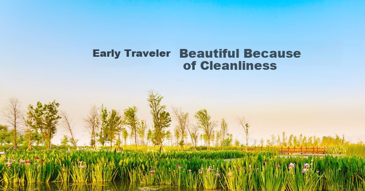 Earlymen Cleaning And Maintenance Kit for Cameras, Camcorders, Telescopes, Projectors, Lens Cleaning Tools, Air Blower, Cleaning Fluids, Cleaning Cloths, Wet Wipes, Cotton Swabs, Full-Frame Cleaning Rods And Others 2