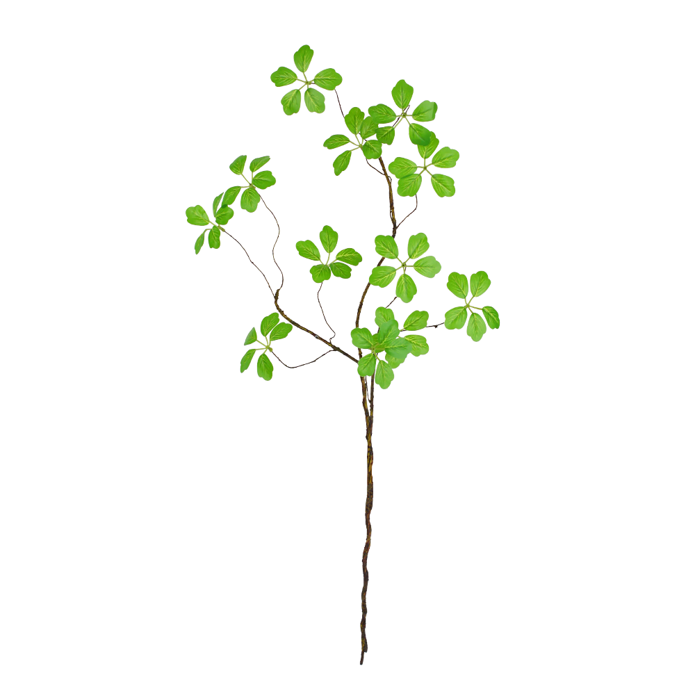Qiju Yaji Artificial Plant Branch Guanyin Leaf Living Room Hotel Decoration Scenic Flower Arrangement Decorative Branch Vine 1 Branch 20409