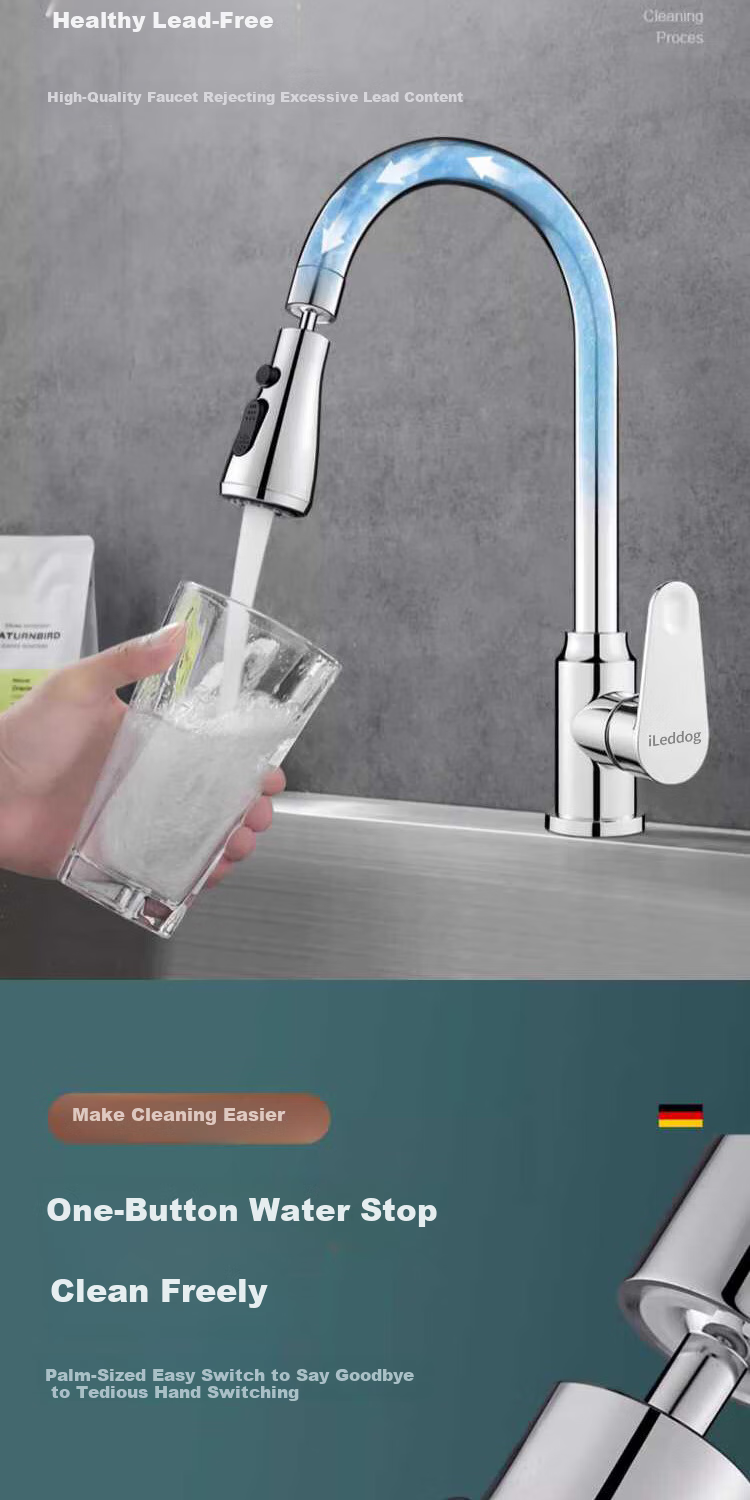 ILeddog [Germany] Kitchen Faucet with Filter, Vegetable Washing Basin, Hot And Cold Water, Stainless Steel Swivel Anti-Splash Tap GY2D 9