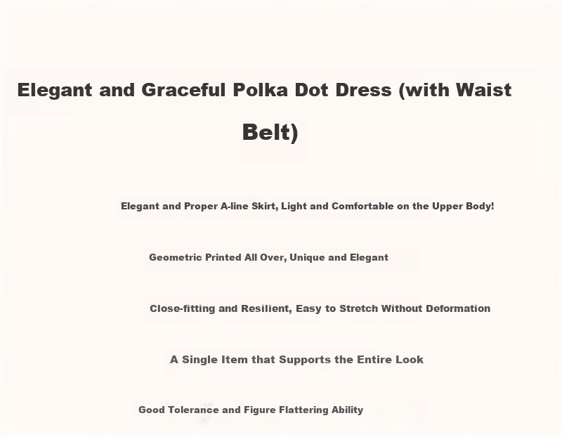 Dme Commuting Polka Dot Vintage Dress Summer V-Neck Lantern Sleeve Chiffon Mid-Length Dress for Women 2