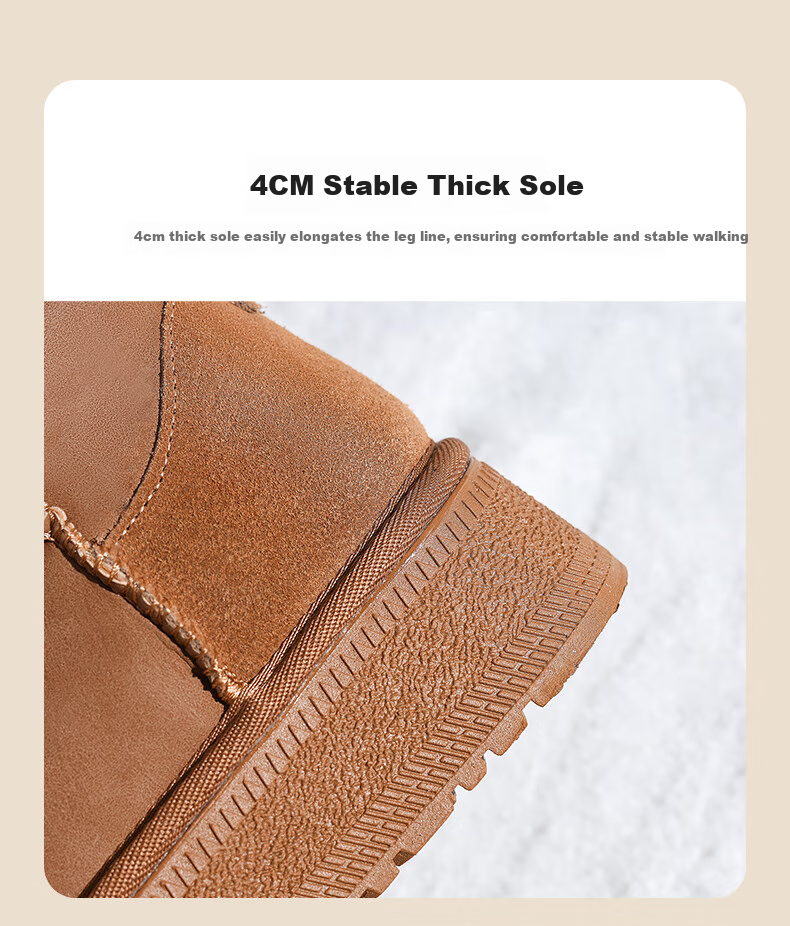 ZHR Snow Boots for Women, 2025 New Winter Style, Thick Warm Women's Boots for Northeast China, Versatile Short Boots with Thick Soles, AB50 Camel Color, Size 40 10