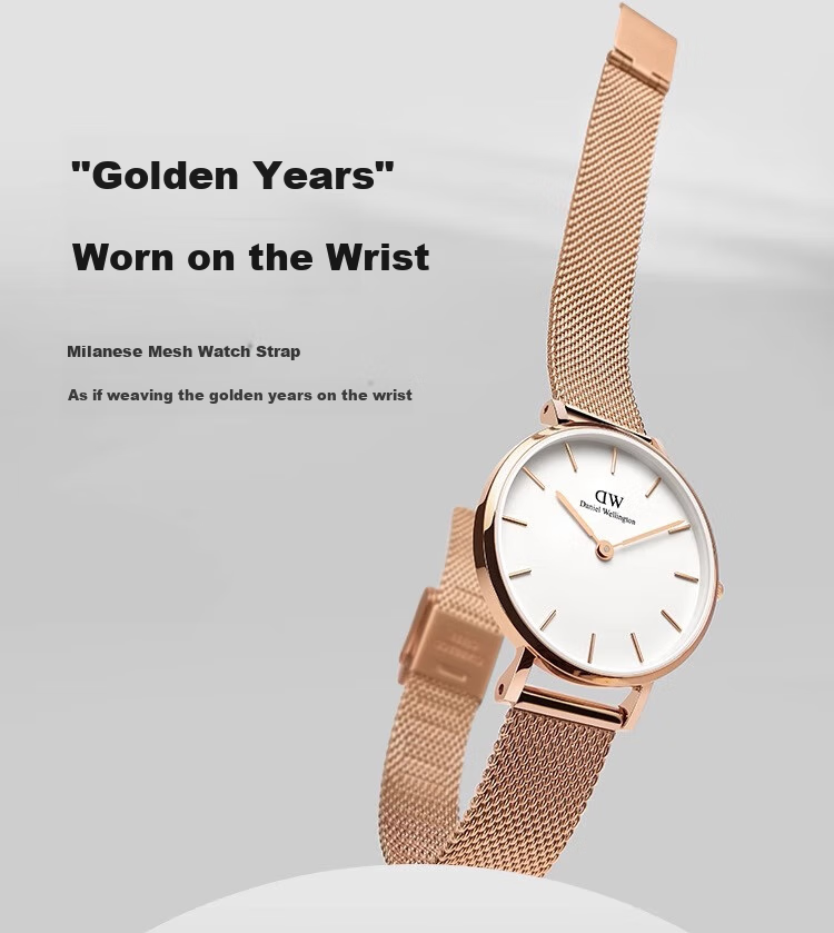 Daniel Wellington DW Women's Watch Luxury Minimalist Quartz European and American Style Wristwatch Gift Box Birthday Present for Girlfriend DW219 3