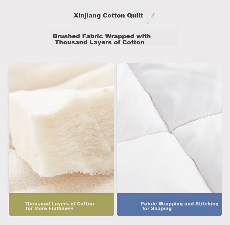Mengshina All-Cotton Dormitory Six-Piece Bedding Set, Bedding Kit, Single Bed Quilt, Mattress Pad, Complete Set for 1.2-Meter Bed, Mengke 3
