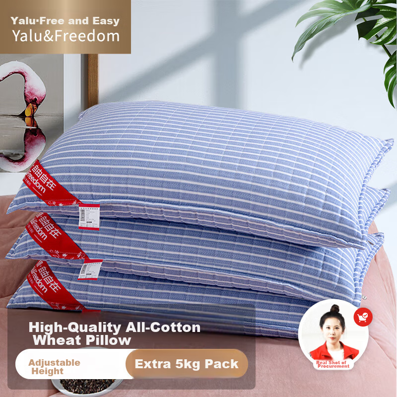 YALU & FREEDOM Pure Cotton Buckwheat Pillow, 100% All Buckwheat Hull Pillow Core, Adult Sleeping Cervical Spine Protection Pillow, 5 Jin (2.5 Kg), 46x72 Cm, Blue Patter