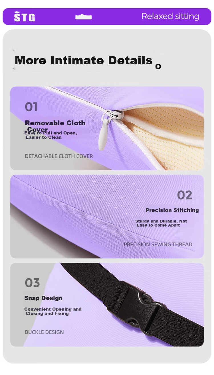 SITGOOD Lumbar Support Cushion, Office Back Pillow, STG Seat Pad, Long-Sitting Waist Protector, Mid-Autumn Festival Gift, Purple 15