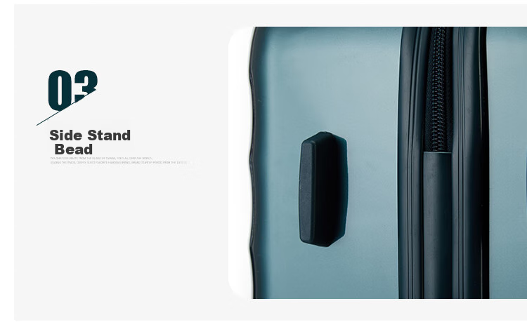 Diplomat TC-23063, Simple And Stylish Mirror-Finish Single-Tube Spinner Suitcase, Travel Luggage with Handle 7