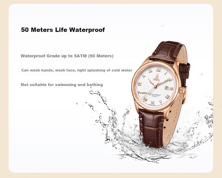 ERNEST BOREL Swiss Women's Watch, Automatic Mechanical Original Imported Leather Strap Yali Series Ladies Watch N0407L0C-MR4L 9