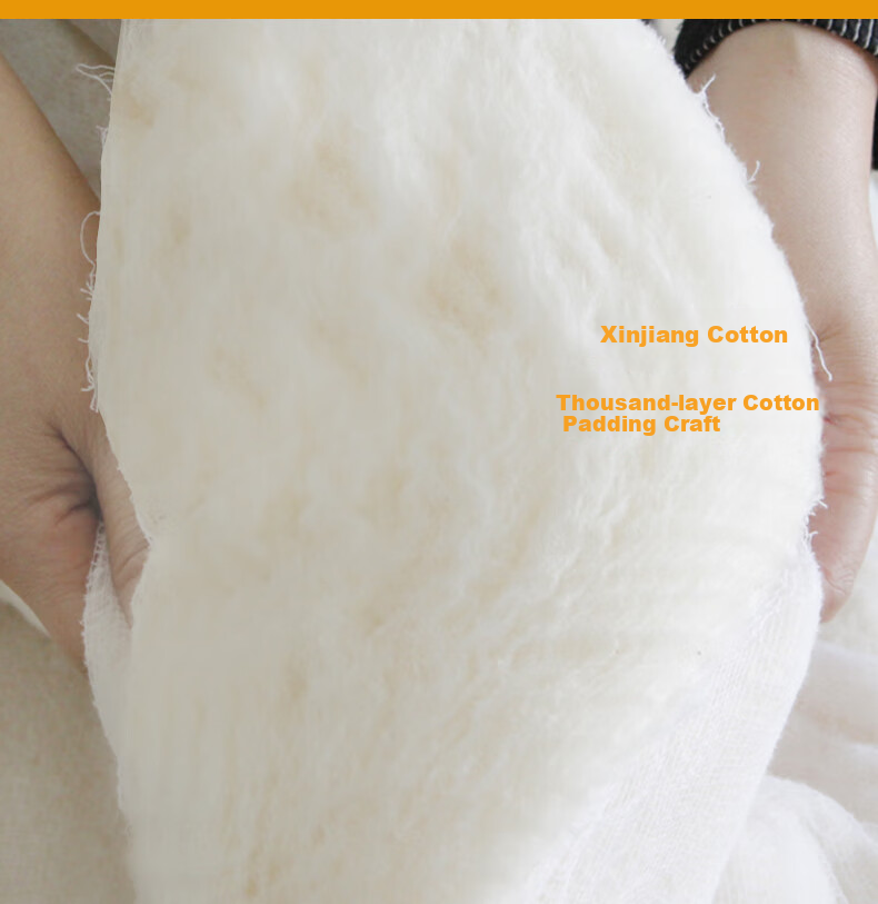 Yunjin 100% Pure Cotton Xinjiang Cotton Quilt, All-Cotton Comforter, Autumn And Winter Duvet, 5 Jin (2.5 Kg), 150*200cm, Jinguang 9