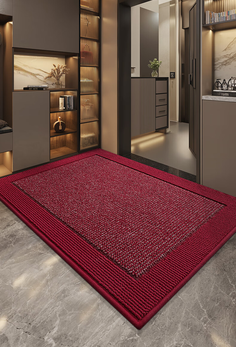 Dajiang Entrance Door Mat Floor Mat 2026 New High-End Carpet 60x90cm 17