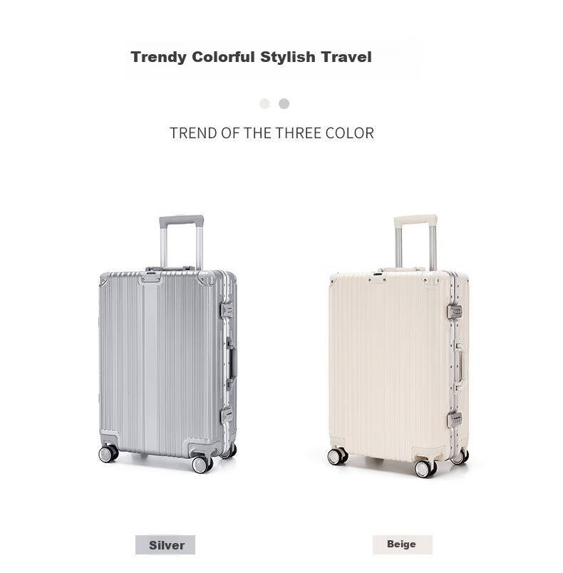 MEXICAN Aluminum Frame Suitcase, Unisex 24-Inch Trolley Case with Password Lock, Travel Luggage for Business Trips, Leather Suitcase, Check-In Luggage, Silver Color 8