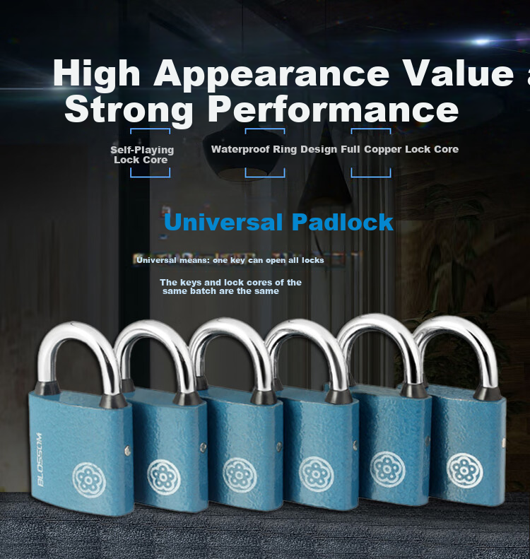 BLOSSOM Master Key Padlock Door Lock BC2950-1 Blue 50MM One Key Opens Multiple Locks 1