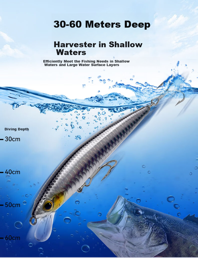 Guowangliya Lure, Suspended Shadow Hovering Minnow Long-Casting Lure, Topmouth Culter Bait, 6.5g-80mm LN06 2