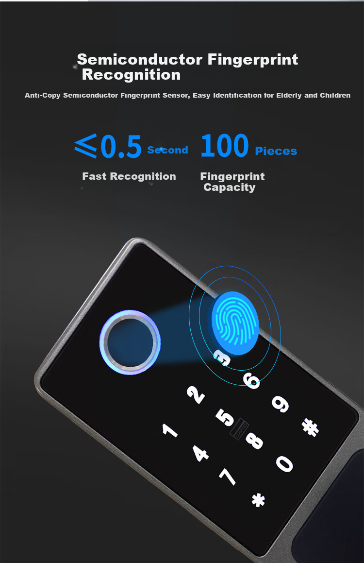 GSON Fingerprint Lock Password Lock Outdoor Waterproof Anti-Theft Door No Wiring Required Courtyard Gate Smart Old-Style Anti-Theft Door Fingerprint Lock 6