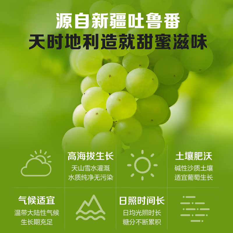 1号会员店 绿葡萄干530g 新疆吐鲁番原料免洗一级大果干零食蜜饯 新老包装