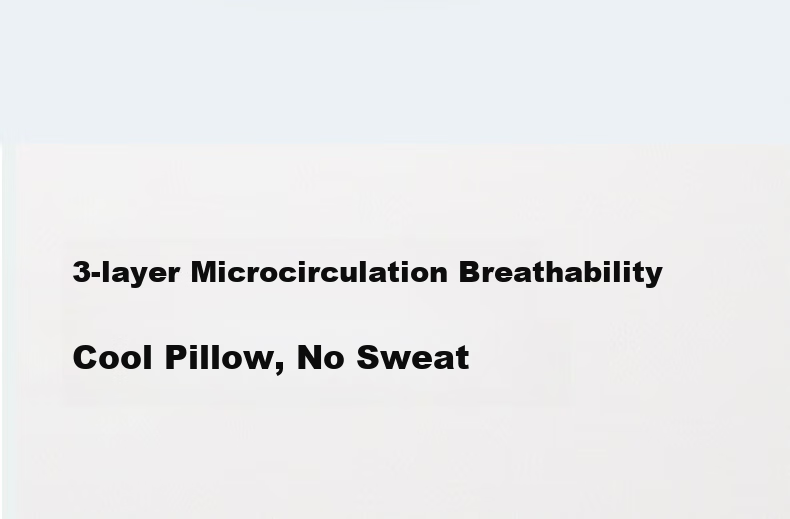 Hengyuanxiang Memory Foam Pillow, Class A Antibacterial, Zero Pressure Deep Sleep Pillow, Neck Protection, Cloud-Like SPA Slow Rebound Memory Cotton Pillow, Deep Sleep Pillow 15