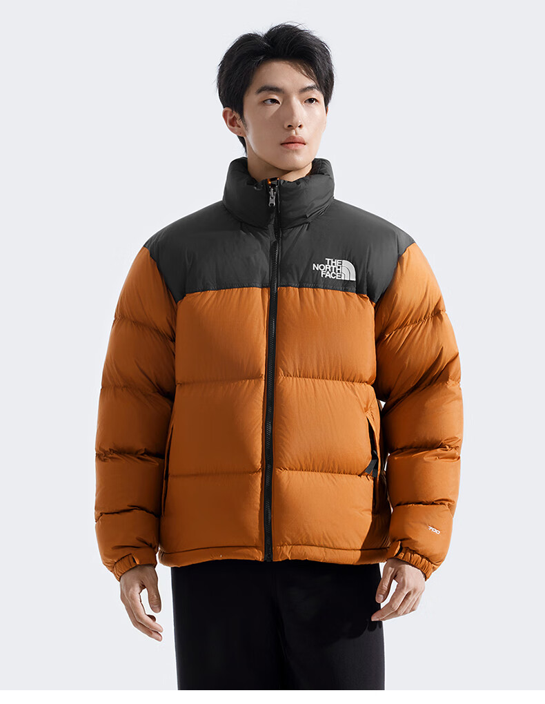 The North Face 96 Nuptse Classic High Loft Goose Down Jacket ICON Streetwear US Size S Black 2