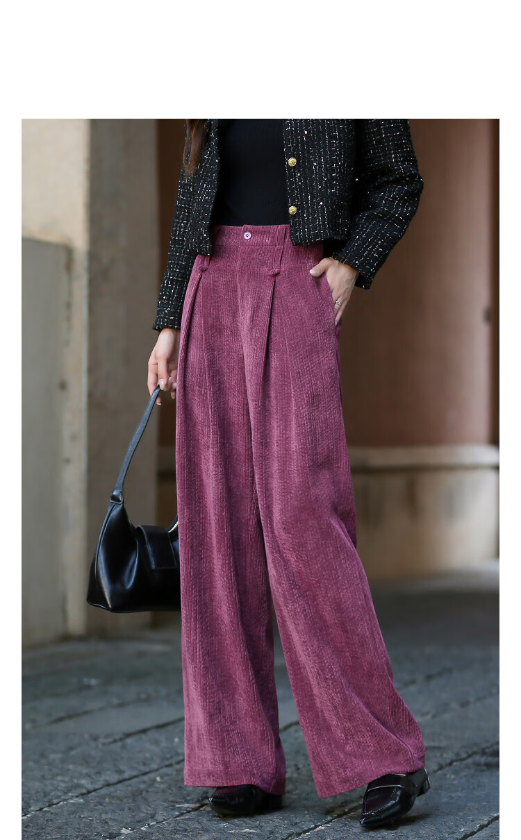 Demana Pear-Shaped Autumn Warm Plush Chenille Pleated Elegant Petite Wide-Leg Women's Casual Pants 1