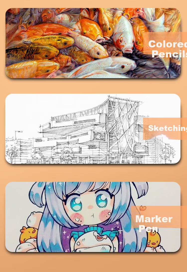 Mont Marte 5b Sketch Pencils, 12 Pieces in Box, Art Drawing Charcoal Pencils, Sketching Pencils for Students Beginners, Practice Sketching Pencils for Outdoor Painting, Specialized Drawing Pencils PNX0014 Art Sketching 18