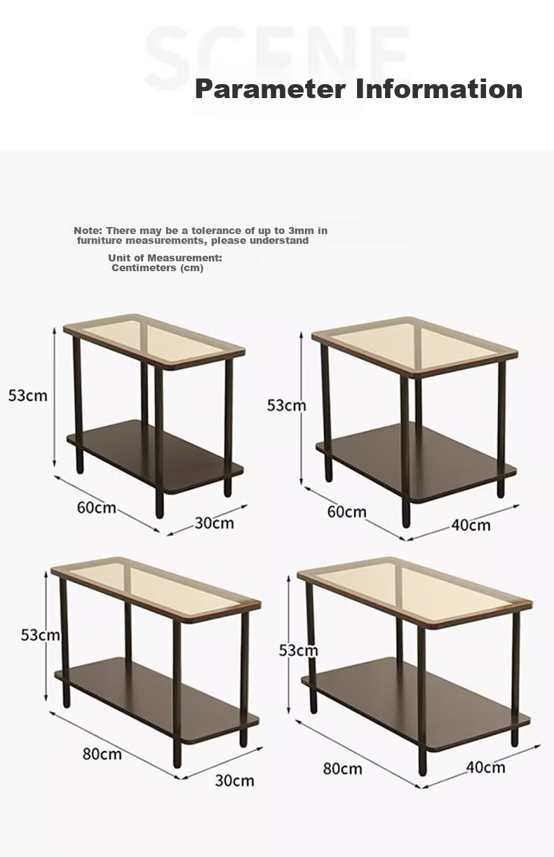 FENJIEXIAN Side Table, Coffee Table, Living Room Light Luxury Small Tea Table, Tempered Glass Tea Stand, Bedside Table, Double-Layer Storage Tea Table 24