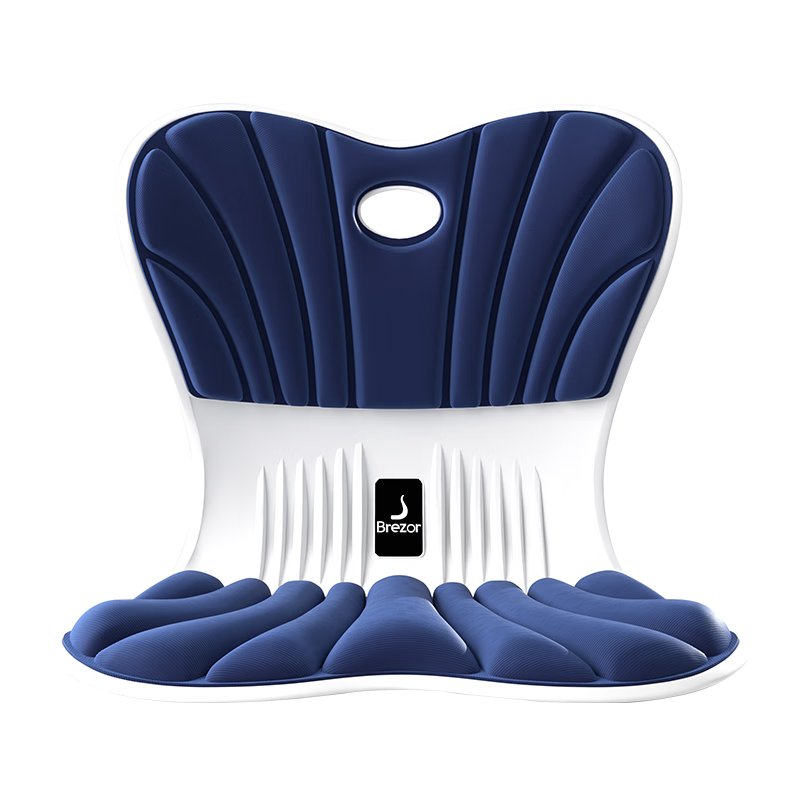 Beili Zheng Lumbar Support Cushion for Prolonged Sitting, Ergonomic Office Chair Back Support Lumbar Pillow