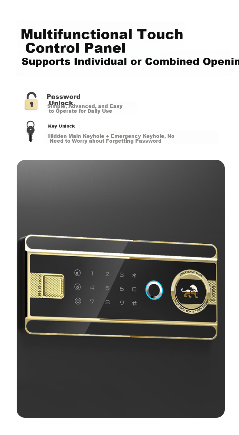 Hupai Home Safe, Small Fingerprint Password Office Financial Security Box, All-Steel Anti-Theft Wall-Mountable Confidential Storage Cabinet, Borui Series, 60cm, Piano Black 6