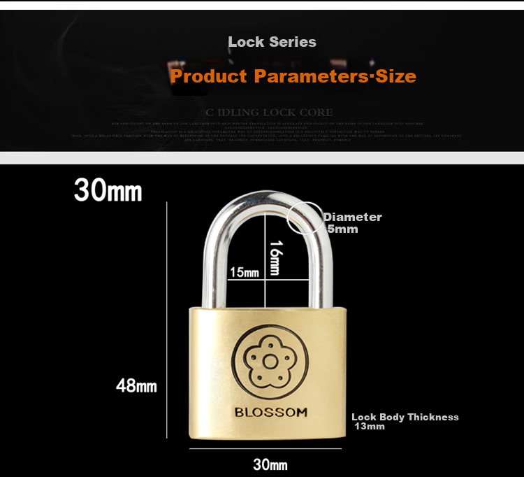 BLOSSOM Copper Padlock, 30MM, Anti-Pick, Rust-Resistant, Durable, Brass Lock Core, Cabinet Lock, Drawer Lock, 9030 4