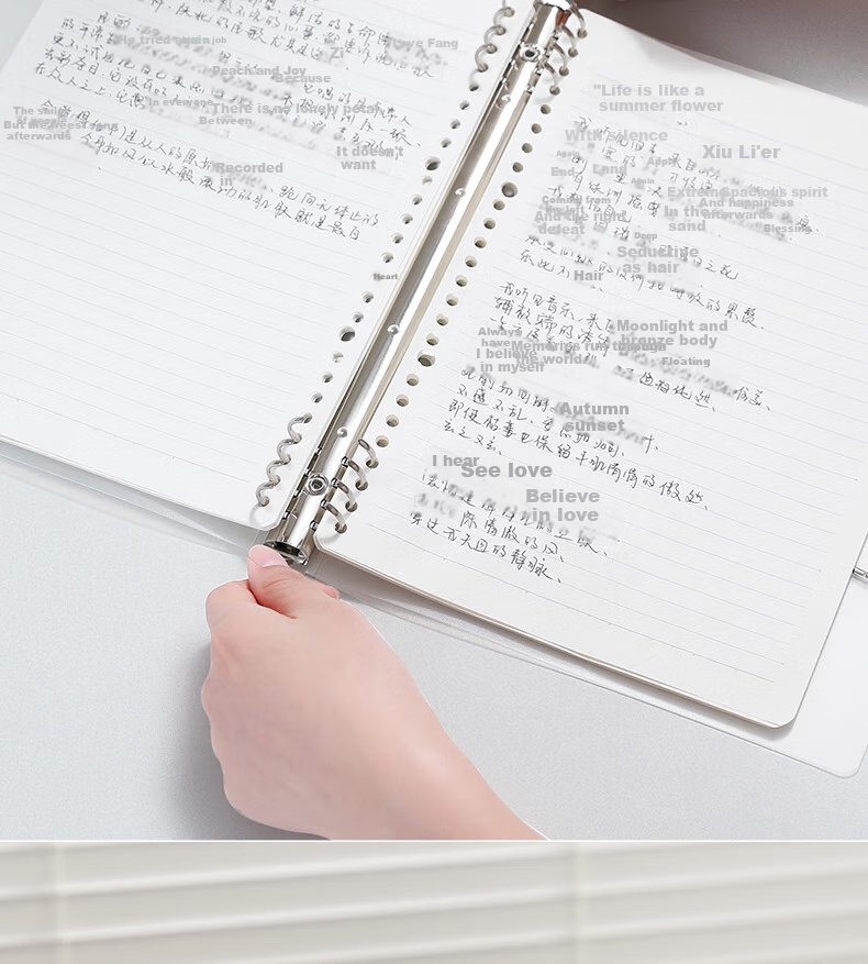 Deli B5 Flying Disc Buckle Loose-Leaf Notebook, Transparent Grid Refill Paper, 60 Sheets Per Book, HB560-3 4