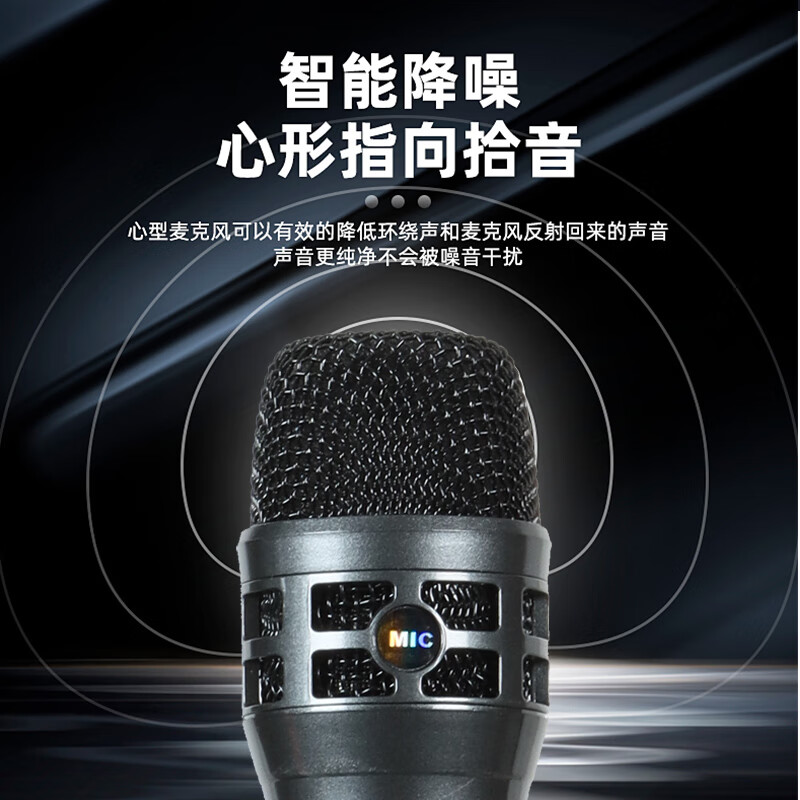 SANSUI K4 Wireless Microphone UHF Teaching Conference Dynamic Microphone Digital Audio Processor Karaoke Reverb Anti-Howling