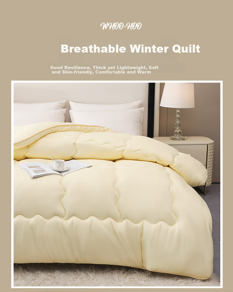 Hengyuanxiang Comforter, Class A Antibacterial Soft All-Season Duvet Insert, 5 Jin Spring And Autumn Quilt, Dormitory Single Air Conditioning Comforter, 150*200cm 8