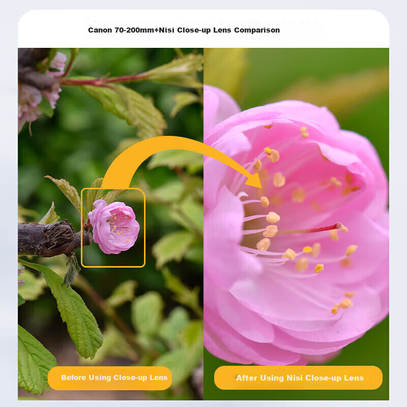 NiSi Close-Up Lens Second Generation, 77mm High-Definition Magnification Macro Lens, Close-Range Shooting Filter, Professional Macro Tool, Advanced Macro Lens for Flowers, Insects, Jewelry Micro Photography