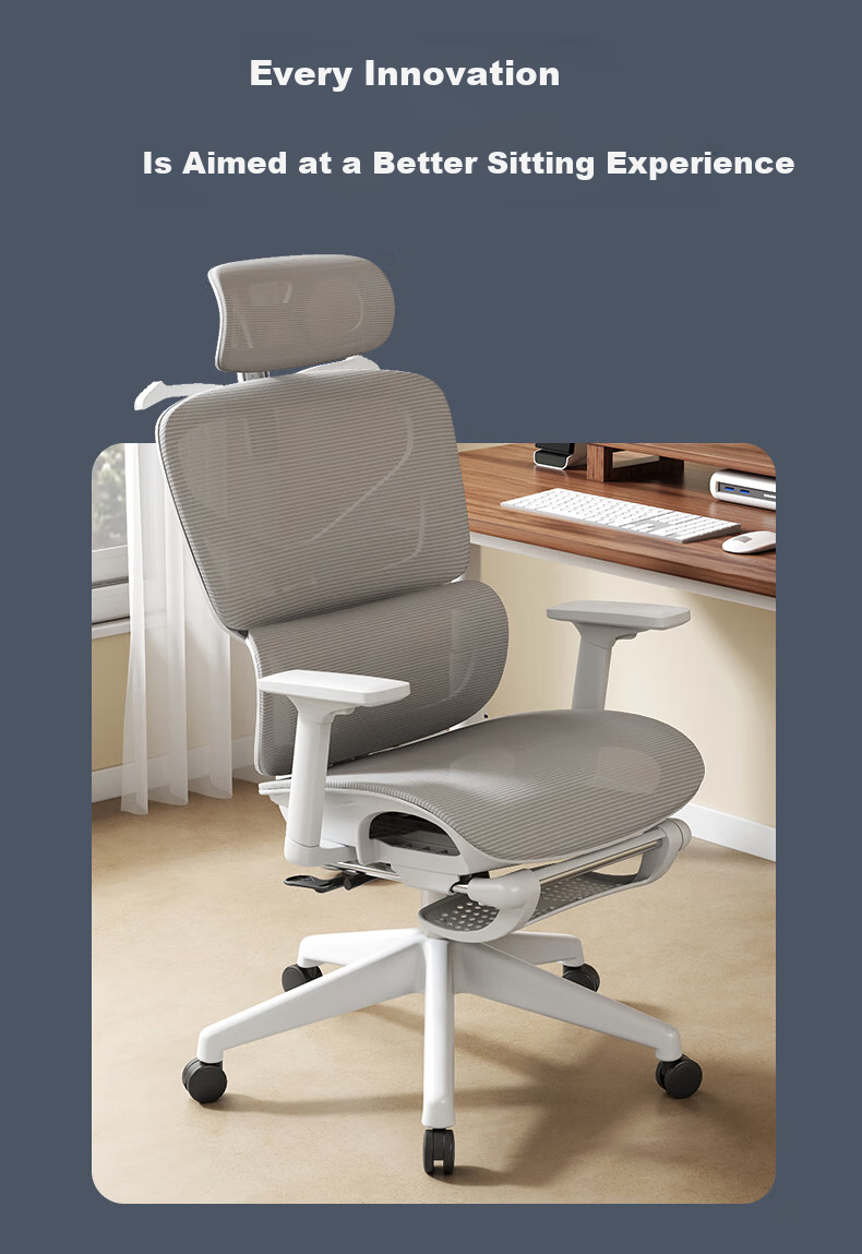Qishengmingyuan LC-1895 Ergonomic Office Chair with Dual Backrest, Lumbar Support And Footrest for Computer Workstation And Gaming 2
